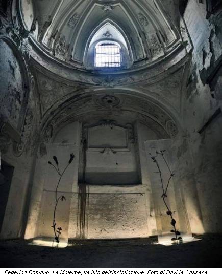 Federica Romano, Le Malerbe, veduta dell'installazione. Foto di Davide Cassese